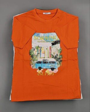 Футболки мужские C-3141 (MEN T-shirt Sorbino) - Сток оптом